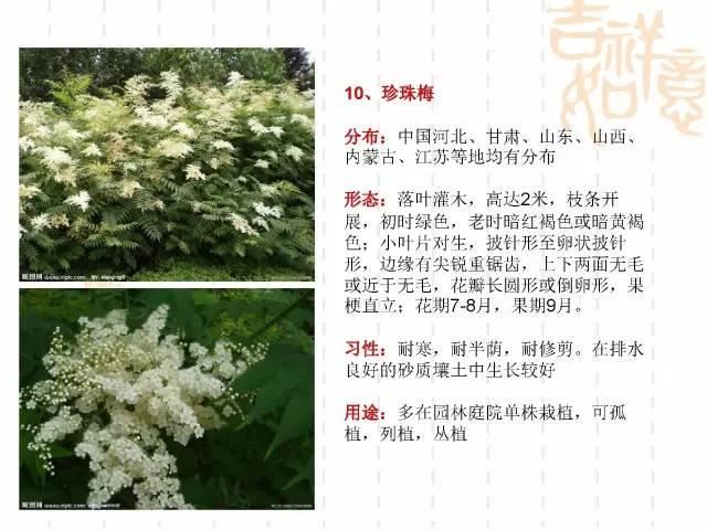 130种·常用园林植物集锦，全，全，是真全