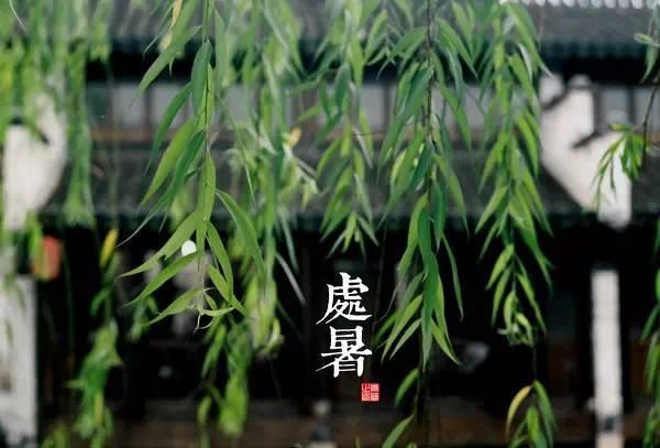 园林景观植物-全年养护管理方案，必看篇