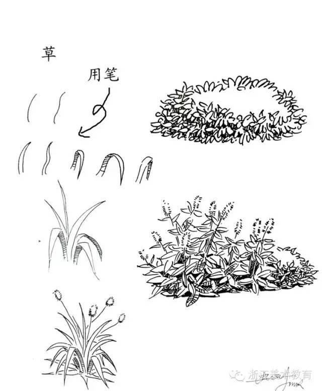 最常用植物手绘技法示例，停工不停学