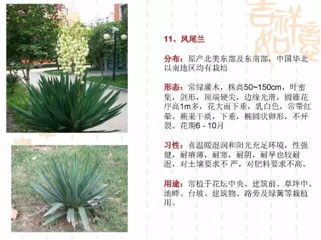 130种·常用园林植物集锦，全，全，是真全