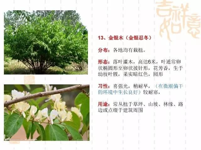 130种·常用园林植物集锦，全，全，是真全