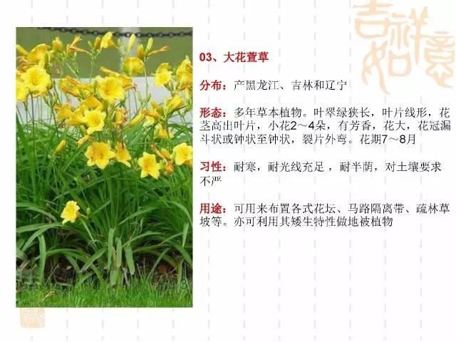130种·常用园林植物集锦，全，全，是真全