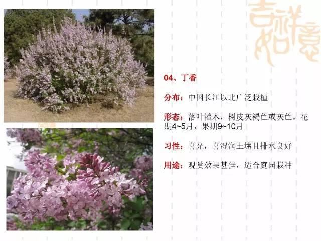 130种·常用园林植物集锦，全，全，是真全