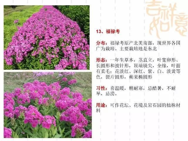 130种·常用园林植物集锦，全，全，是真全