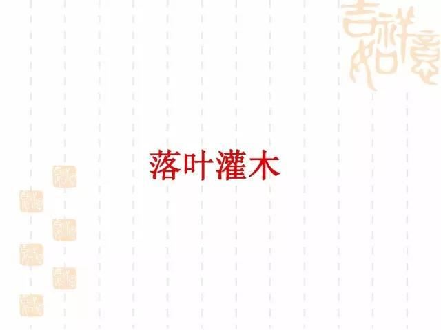 130种·常用园林植物集锦，全，全，是真全