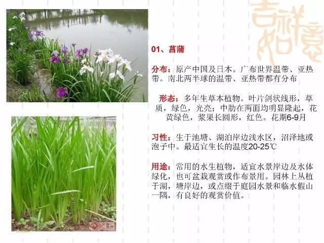 130种·常用园林植物集锦，全，全，是真全