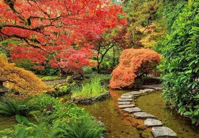 世界著名花园赏析——色彩和逻辑之美