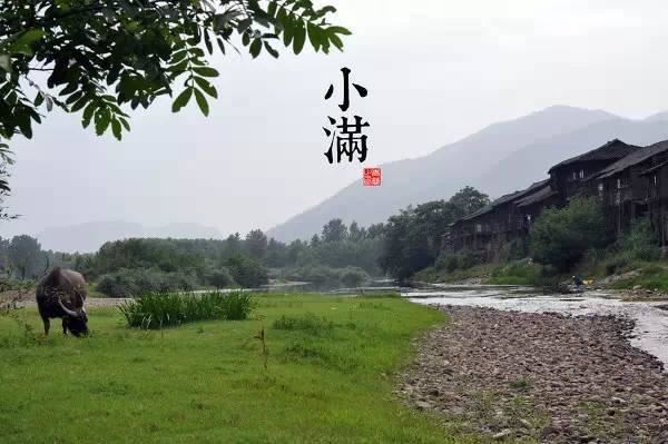 园林景观植物-全年养护管理方案，必看篇