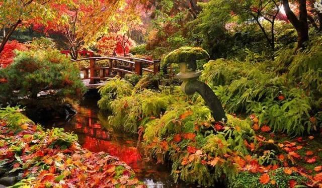 世界著名花园赏析——色彩和逻辑之美