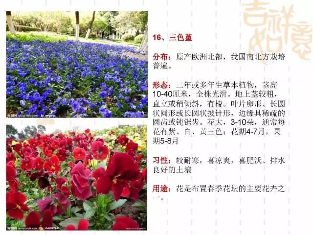 130种·常用园林植物集锦，全，全，是真全