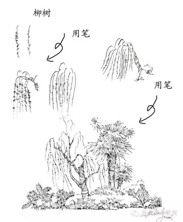 最常用植物手绘技法示例，停工不停学