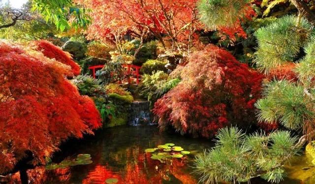 世界著名花园赏析——色彩和逻辑之美