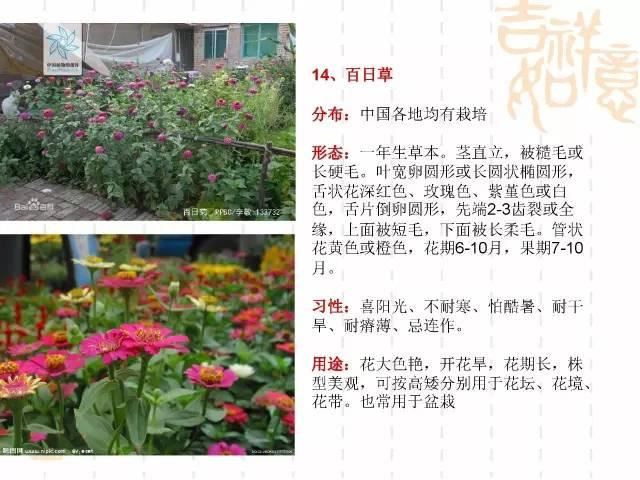 130种·常用园林植物集锦，全，全，是真全