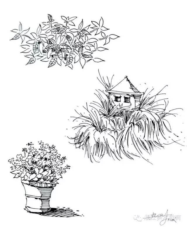 最常用植物手绘技法示例，停工不停学