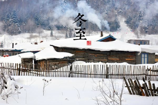 园林景观植物-全年养护管理方案，必看篇