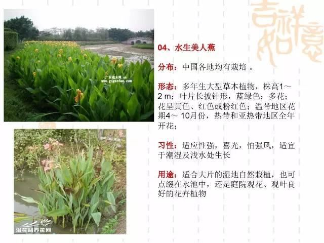 130种·常用园林植物集锦，全，全，是真全
