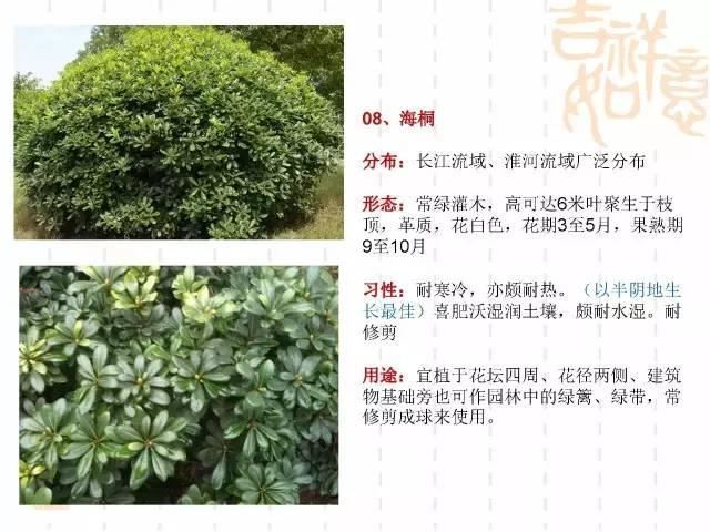 130种·常用园林植物集锦，全，全，是真全