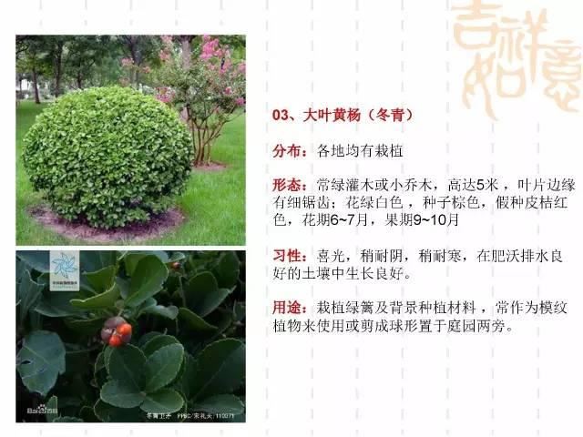 130种·常用园林植物集锦，全，全，是真全