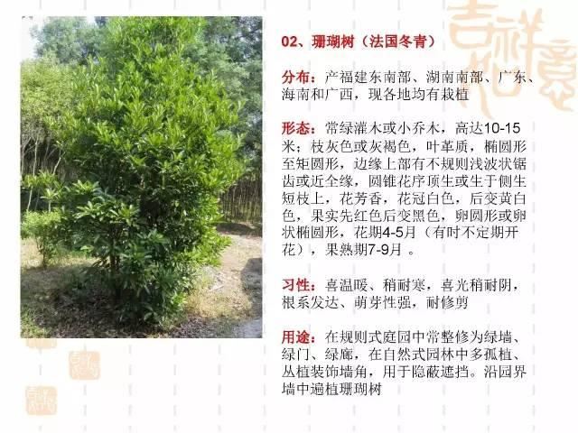 130种·常用园林植物集锦，全，全，是真全