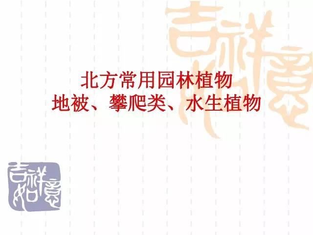 130种·常用园林植物集锦，全，全，是真全