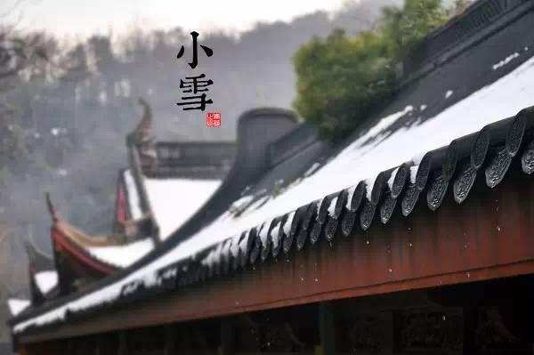 园林景观植物-全年养护管理方案，必看篇