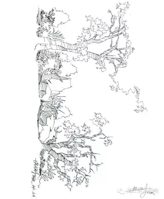 最常用植物手绘技法示例，停工不停学