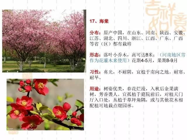 130种·常用园林植物集锦，全，全，是真全