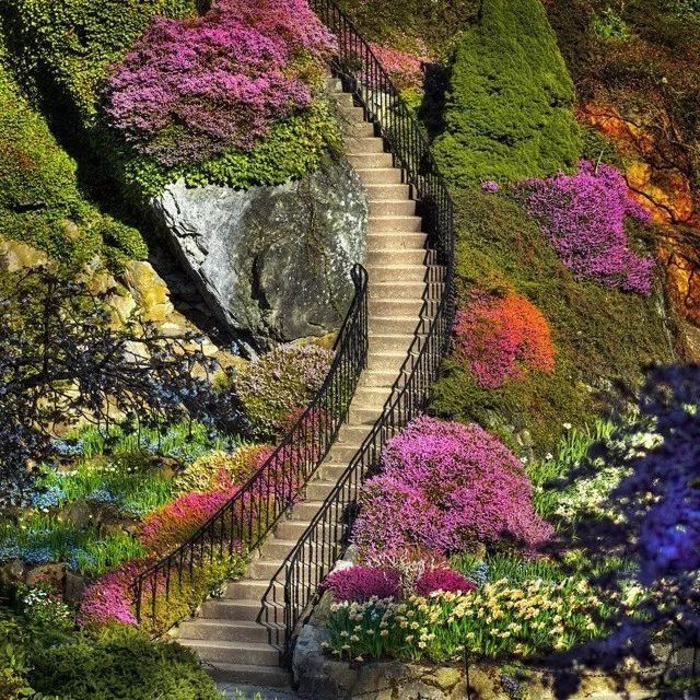 世界著名花园赏析——色彩和逻辑之美