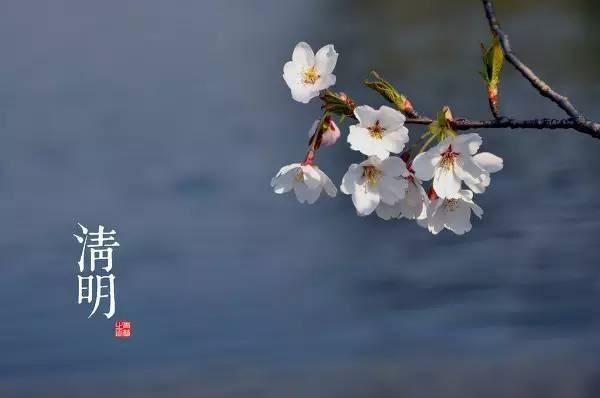 园林景观植物-全年养护管理方案，必看篇