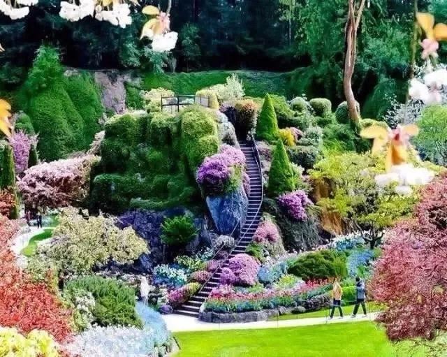 世界著名花园赏析——色彩和逻辑之美