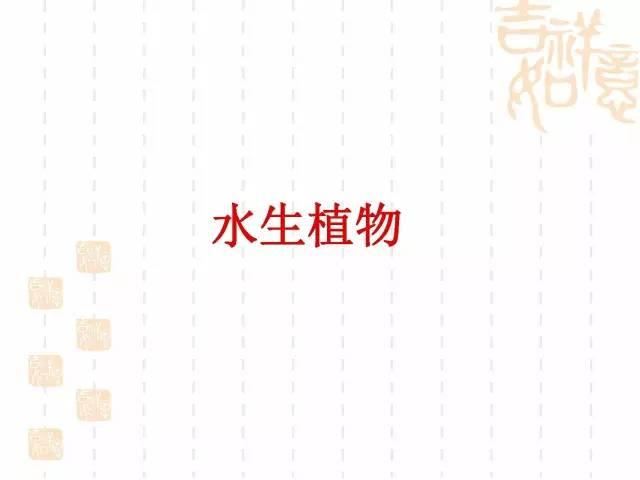 130种·常用园林植物集锦，全，全，是真全