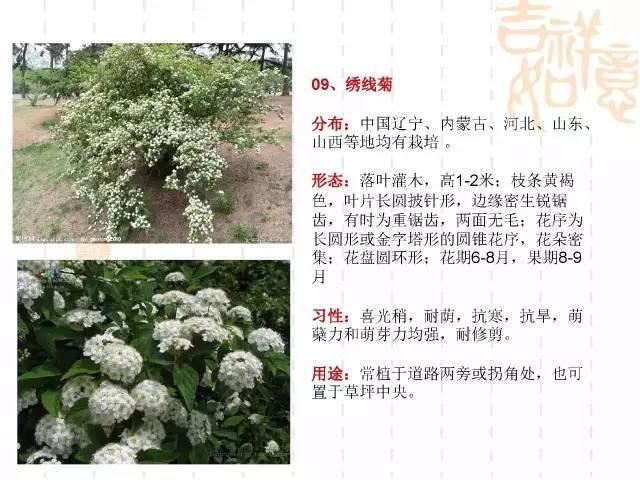 130种·常用园林植物集锦，全，全，是真全