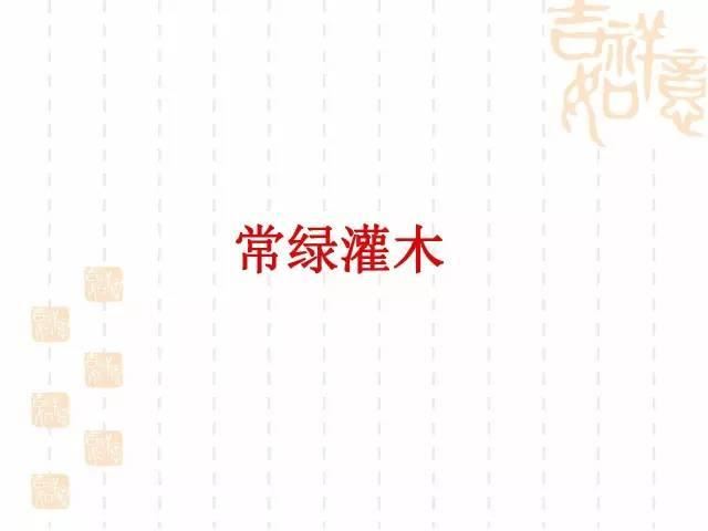 130种·常用园林植物集锦，全，全，是真全