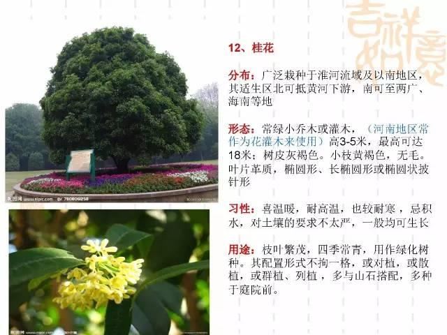 130种·常用园林植物集锦，全，全，是真全