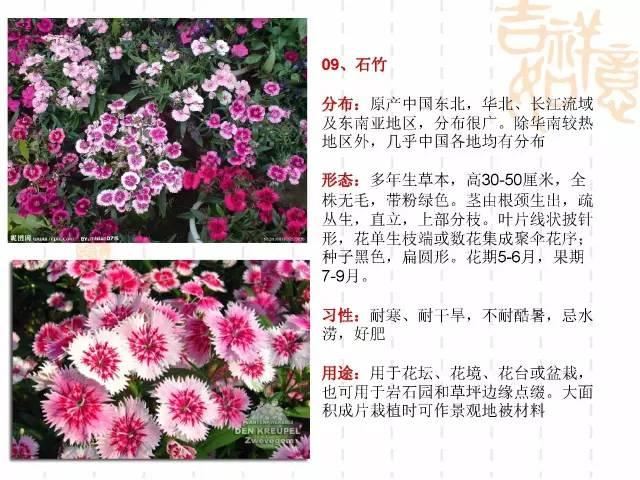 130种·常用园林植物集锦，全，全，是真全
