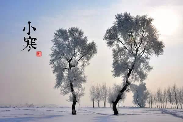 园林景观植物-全年养护管理方案，必看篇