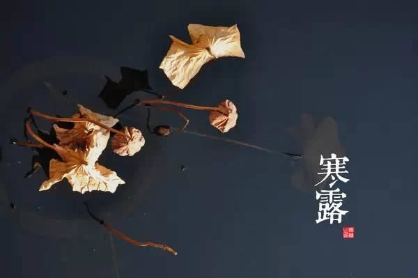 园林景观植物-全年养护管理方案，必看篇