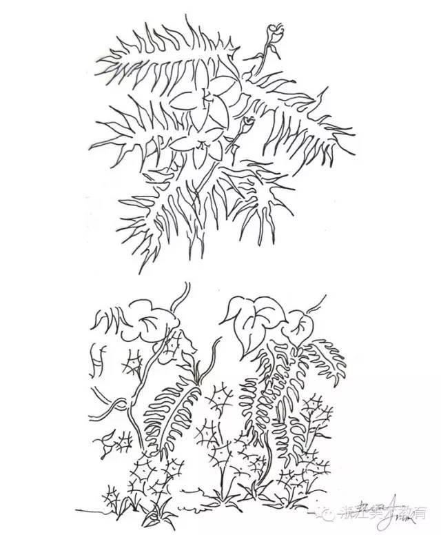 最常用植物手绘技法示例，停工不停学