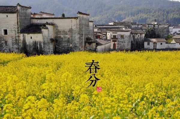 园林景观植物-全年养护管理方案，必看篇