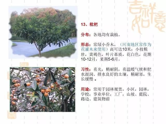 130种·常用园林植物集锦，全，全，是真全