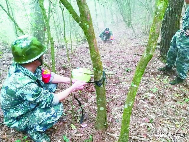 用红外科技，“看好”野生动物