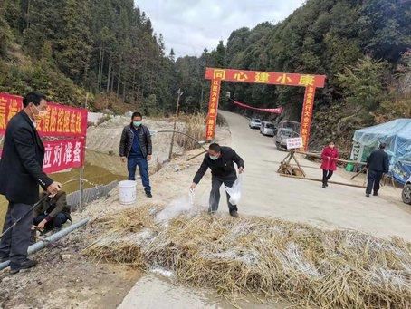 龙陵林业系统：开展冬季大扫除 阻断疫病传染路径