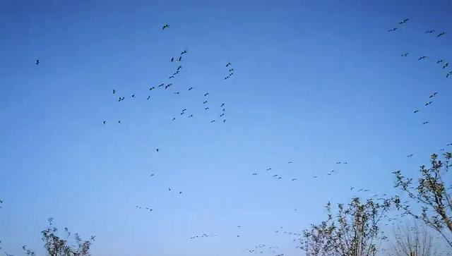 河南有了首个国际重要湿地