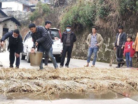 龙陵林业系统：开展冬季大扫除 阻断疫病传染路径