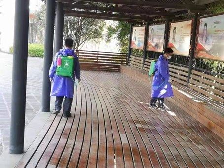 龙陵林业系统：开展冬季大扫除 阻断疫病传染路径