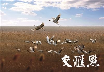 湿地保护，江苏迈上新台阶