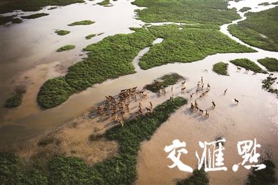 湿地保护，江苏迈上新台阶