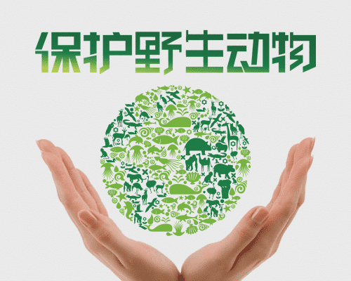 闻令而动，林草系统全面落实野生动物管控