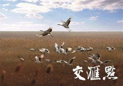 各地林草头条｜湿地保护，江苏迈上新台阶