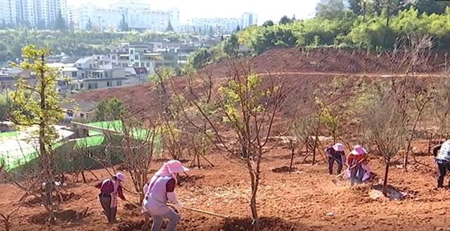 安宁首个异地绿化还建项目开工